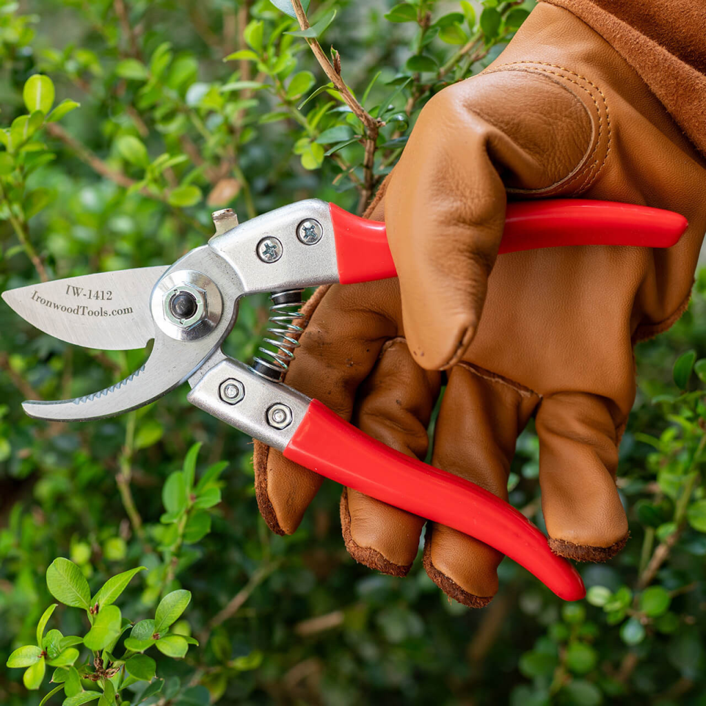 A gloved hand using pruners to trim small branches.