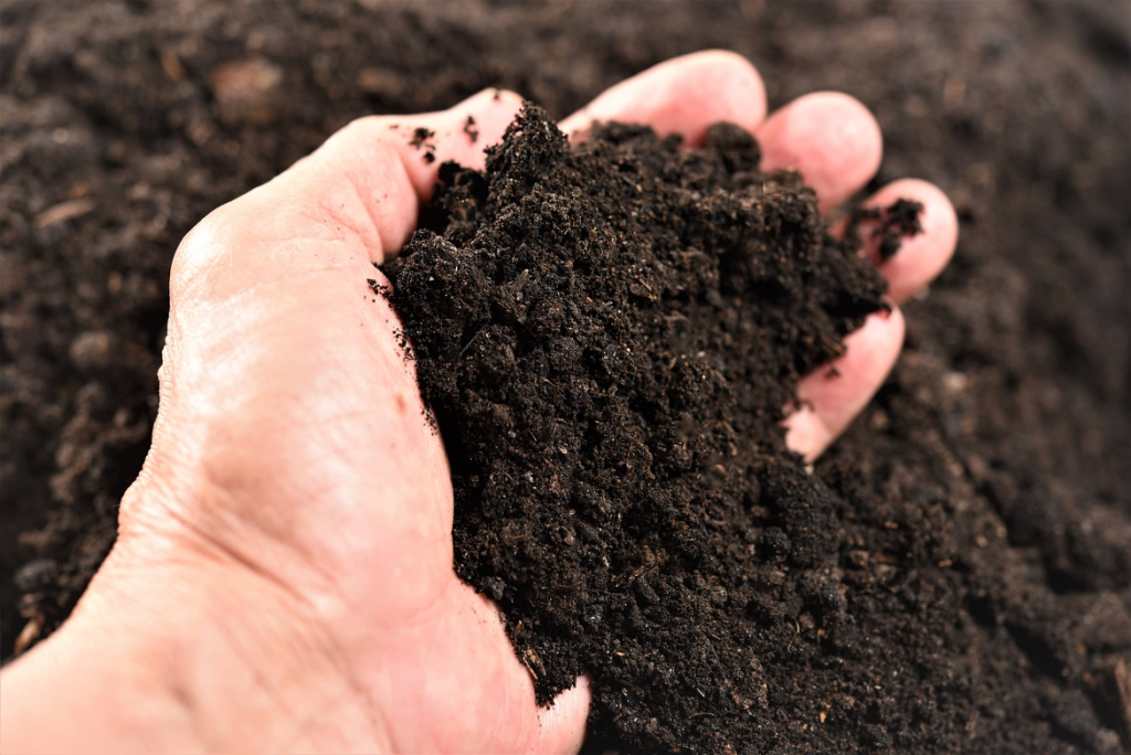 Hand holding rich organic soil to improve lawn health and promote stronger grass roots