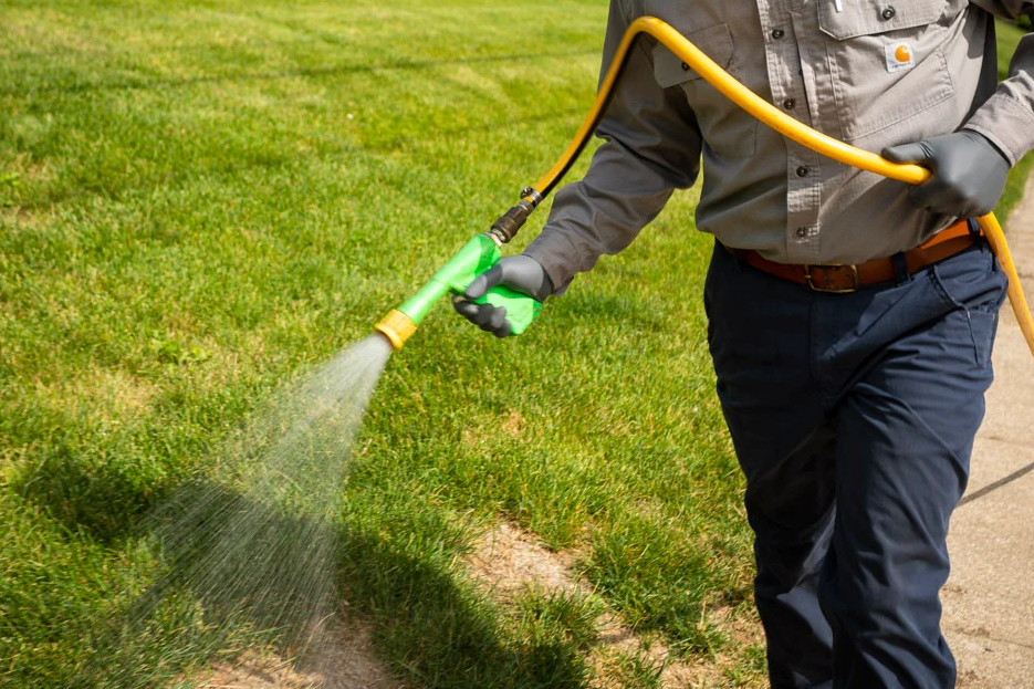 watering dry patchy lawn area with hose to restore damaged grass and improve turf condition