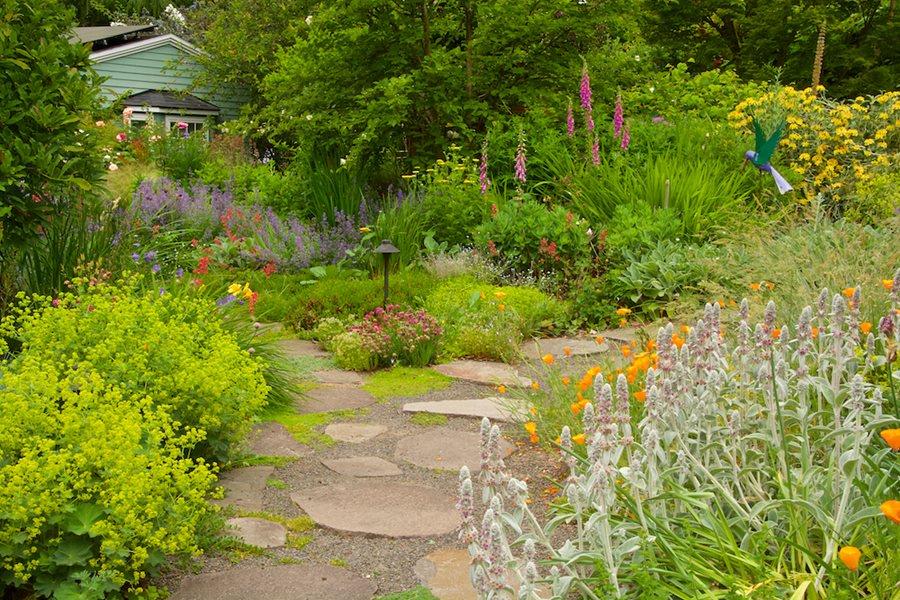 Lush garden with stone path and vibrant flowers.