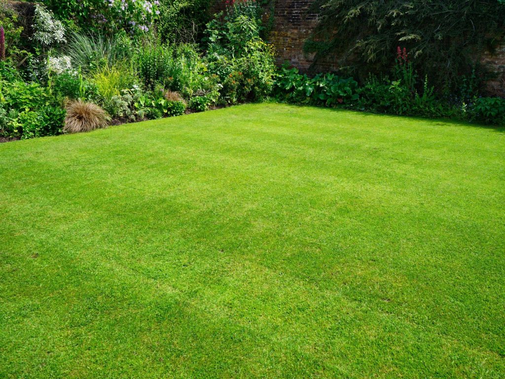 Neatly mowed backyard lawn bordered by garden plants.
