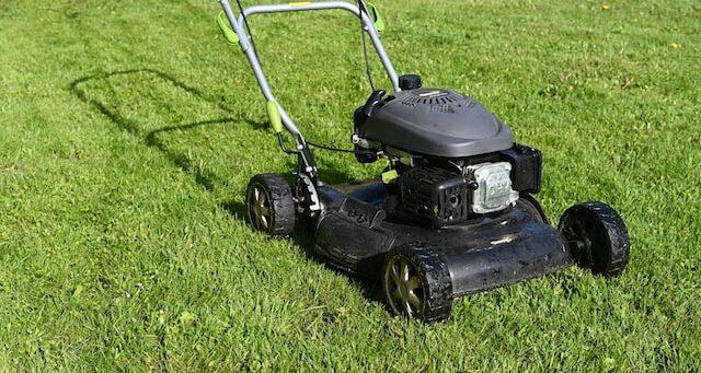 A black gas-powered lawn mower placed on a freshly mowed lawn, used for maintaining grass height.