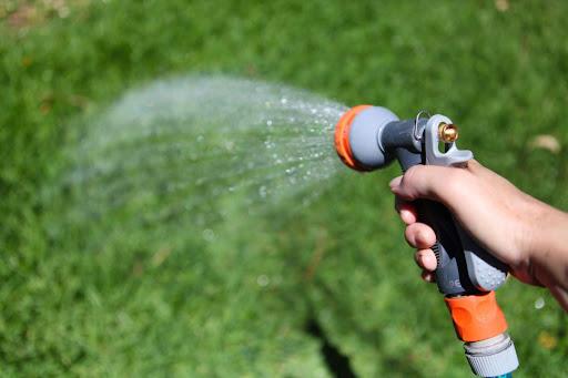 Hand watering grass with a garden hose spray nozzle