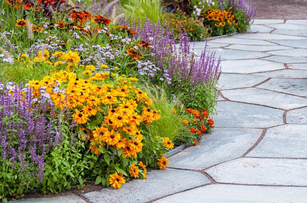 Vibrant flower garden along a stone pathway, featuring yellow, purple, and orange blooms.