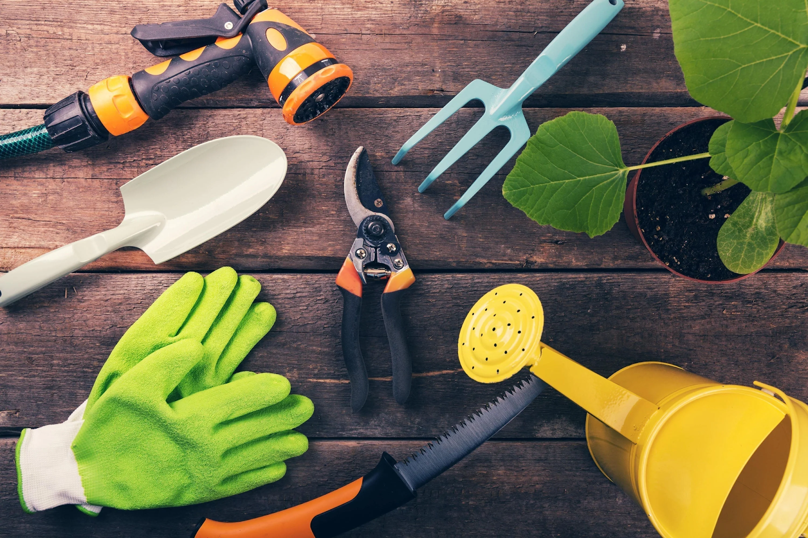 Various gardening tools laid out on a rustic wooden floor.