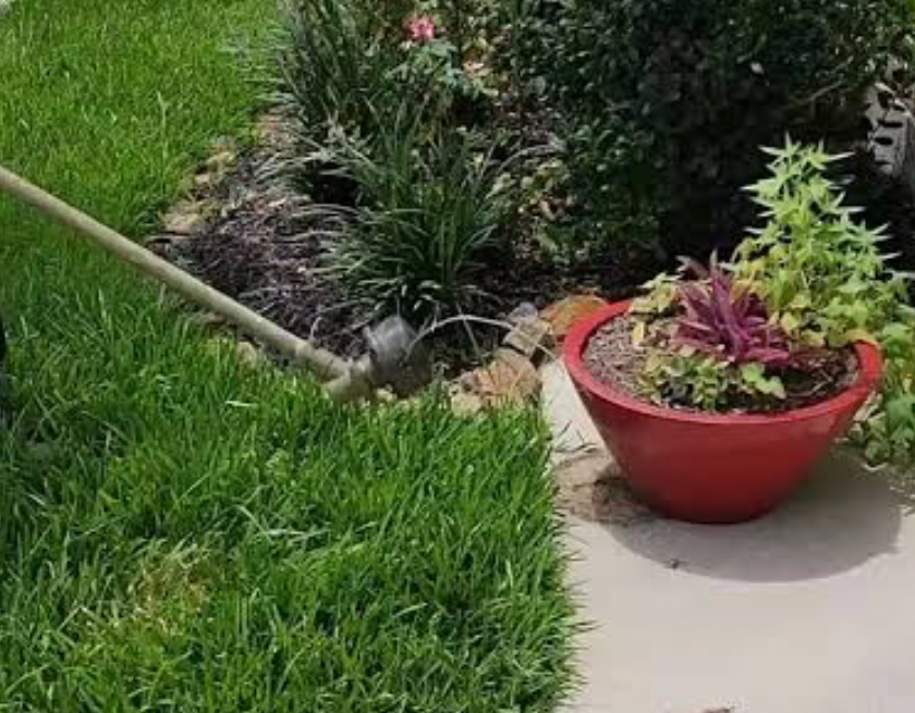 using a string trimmer to edge grass neatly around a flower bed and walkway