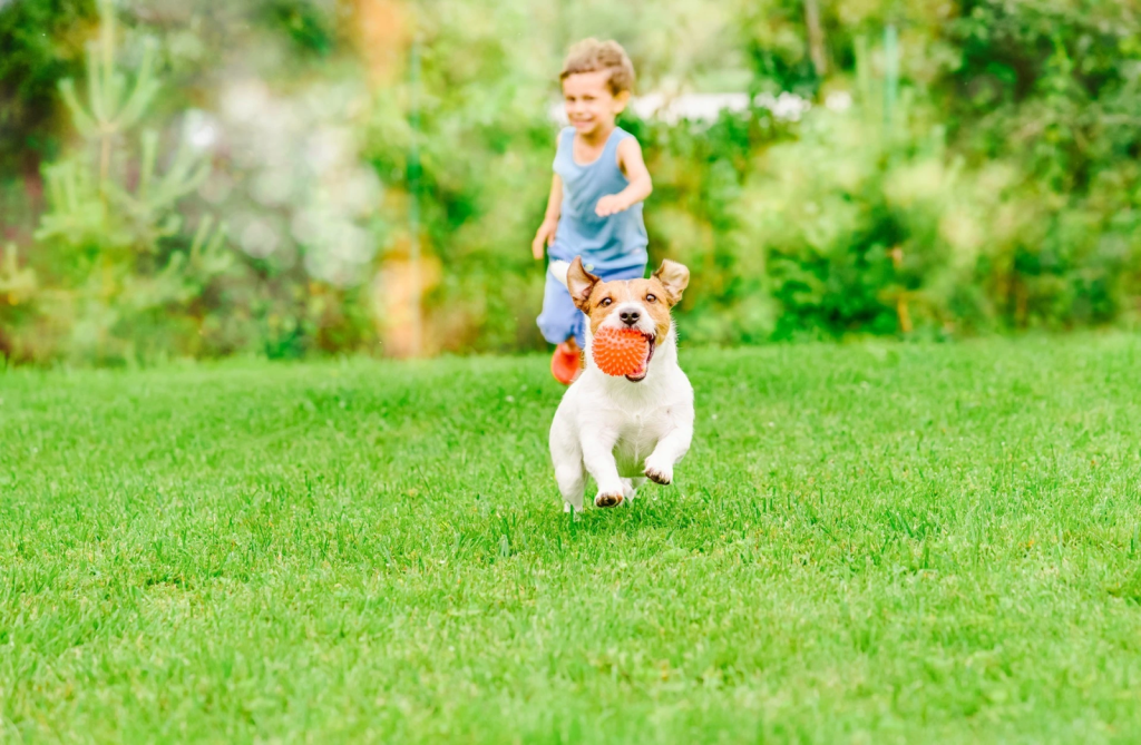 child and dog playing on a healthy green lawn after natural lawn care