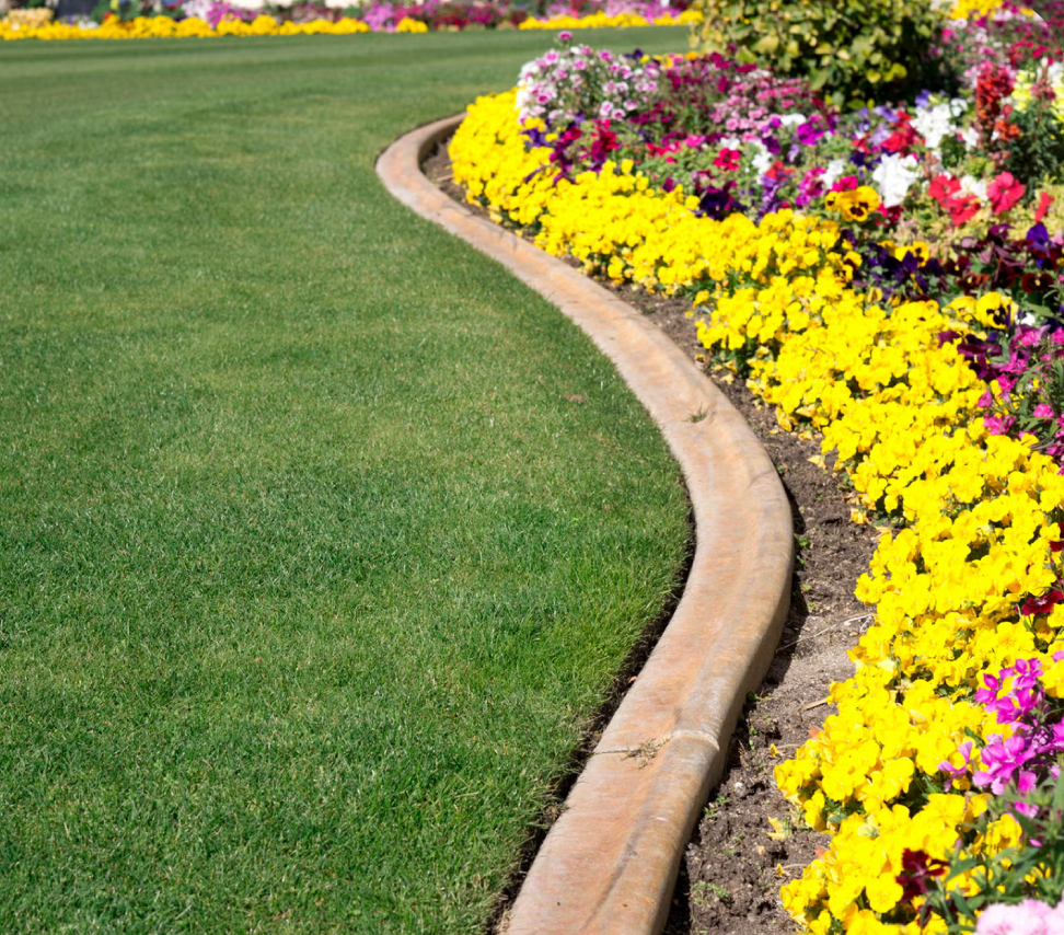 curved lawn edging with colorful flower bed border and neatly trimmed grass