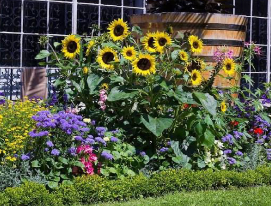 installing plastic garden edging with rubber mallet for flower bed border