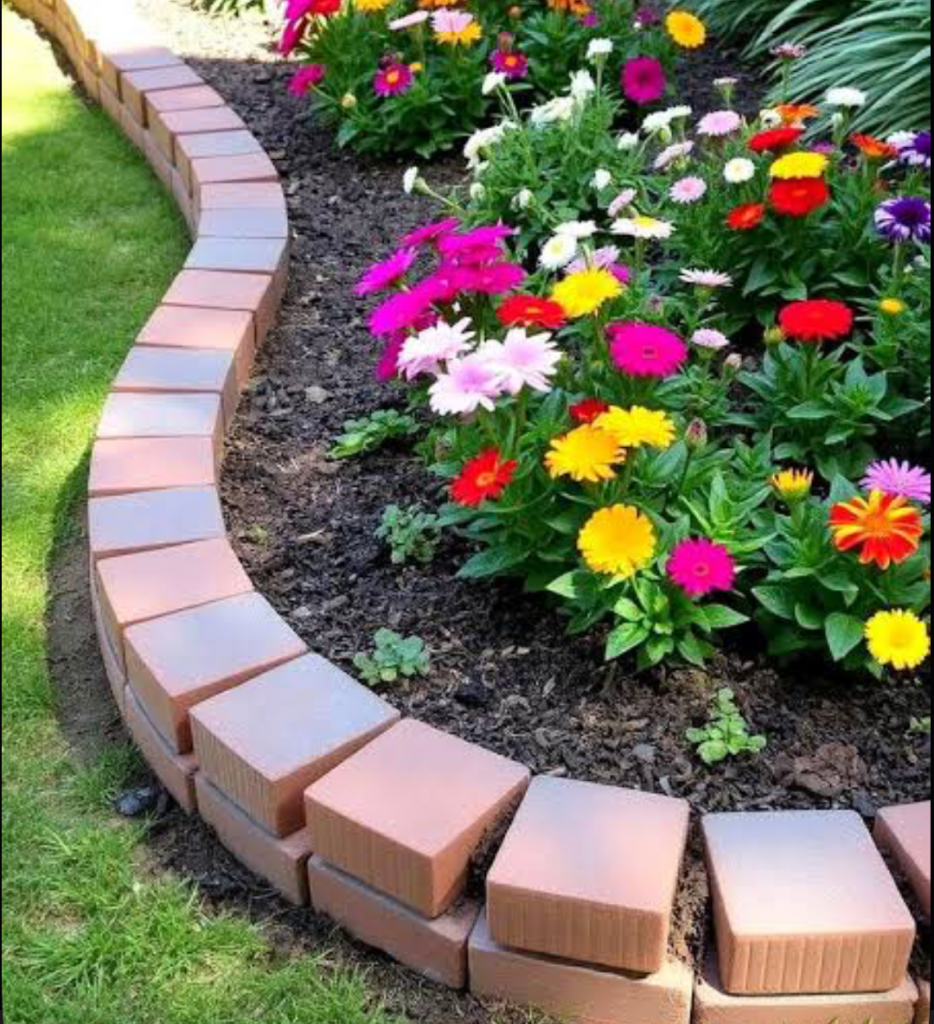 sunflower flower bed with colorful garden border and landscaped yard