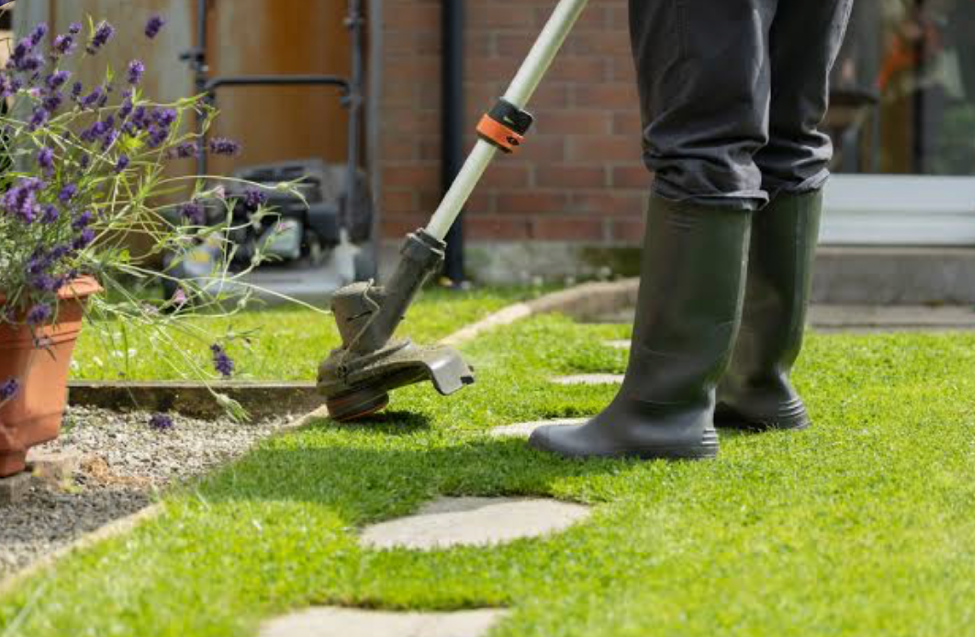 rock garden edging with decorative stones and landscape border design
