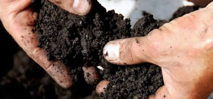 close up of nutrient rich soil texture showing organic matter for healthy plant growth