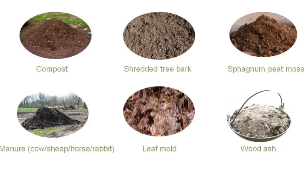 soil amendments chart showing compost bark peat moss manure leaf mold and wood ash for gardening