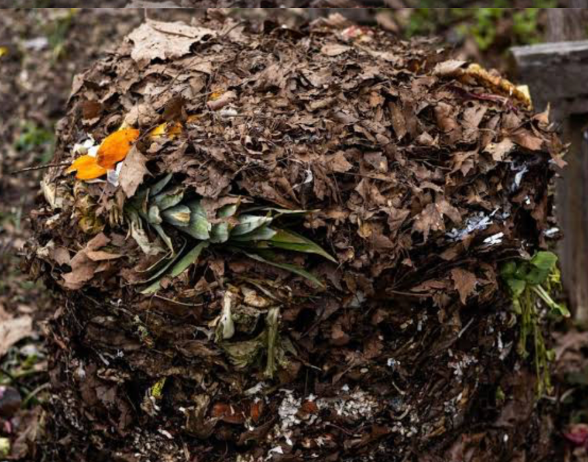 compost pile made of leaves and kitchen waste for natural soil improvement and recycling
