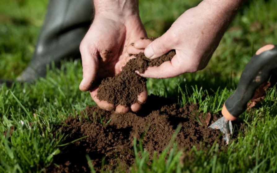 hands holding rich garden soil for testing soil quality and improving lawn health