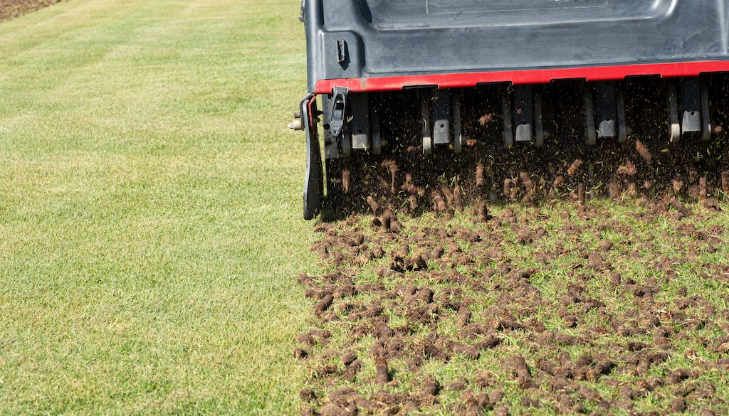 core aerator machine removing soil plugs from lawn to improve drainage and root growth