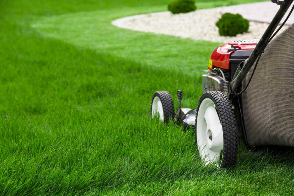 lawn mower cutting thick healthy green grass in well maintained residential yard