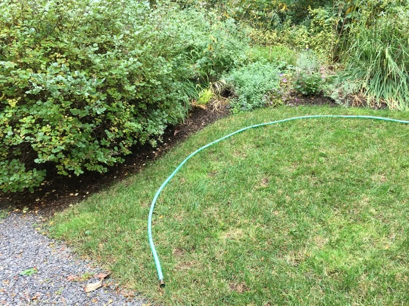 garden hose placed along curved lawn edge to mark border line for landscape edging