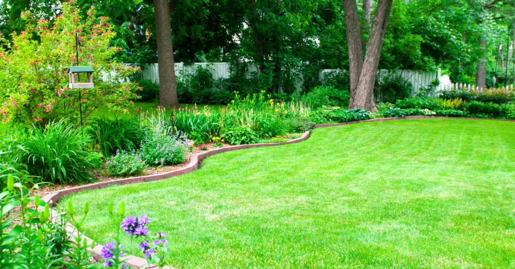 beautiful backyard lawn with curved garden edging and colorful landscaped flower beds