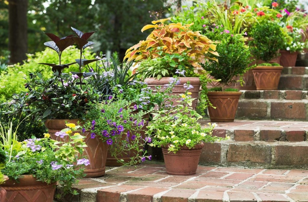 A variety of flowering and foliage plants displayed in terracotta pots along brick garden steps, creating a colorful container garden arrangement.