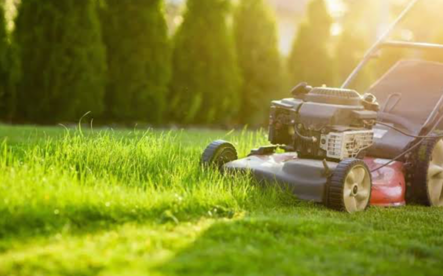 lawn mower cutting fresh green grass in sunlight for healthy lawn maintenance and mowing tips
