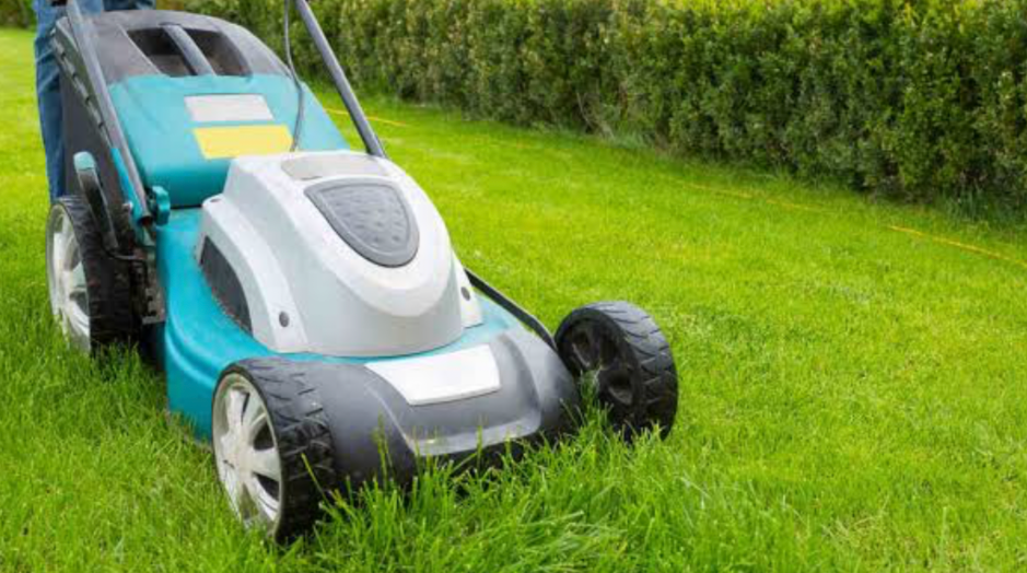 electric lawn mower trimming thick green grass for efficient lawn care and maintenance