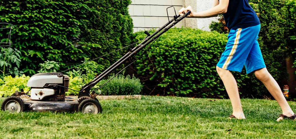person mowing backyard lawn with push mower for regular grass maintenance and yard care