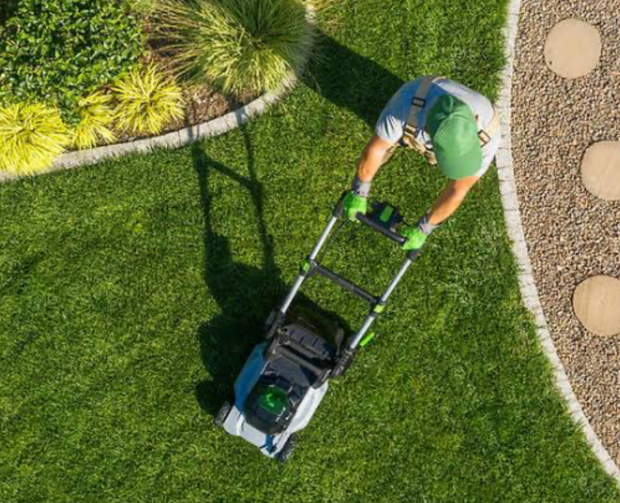 top view of mowing curved lawn edges for clean landscaping and precise grass cutting