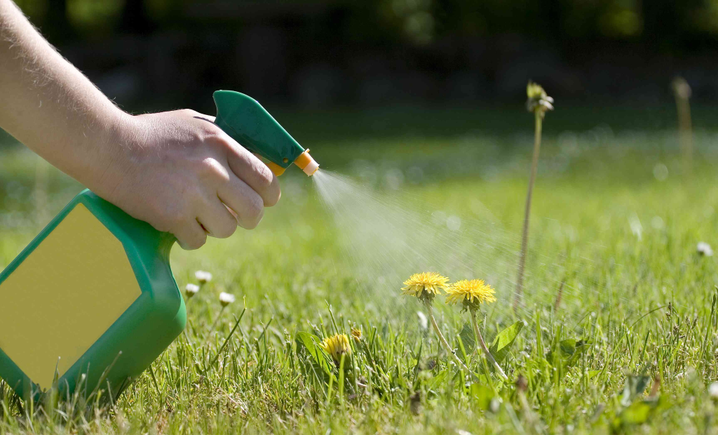 Chemicals should only be used as a last resort after trying tools