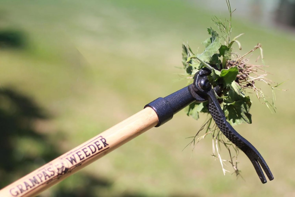 Explore Eco-Friendly Weeding Tool Options