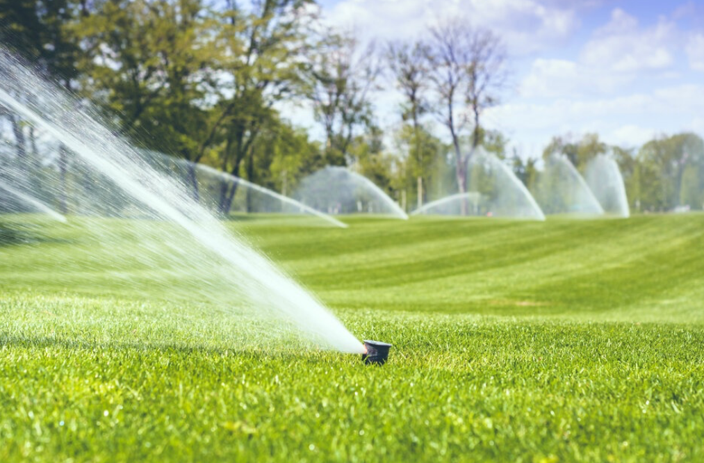 Sprinklers position across a large lawn firing off long streams of water over the wide area.