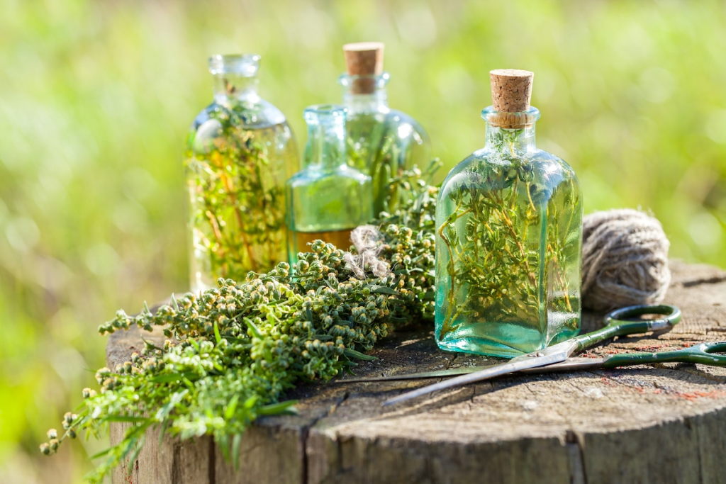 glass bottles filled with homemade herbal oils and freshly harvested garden herbs