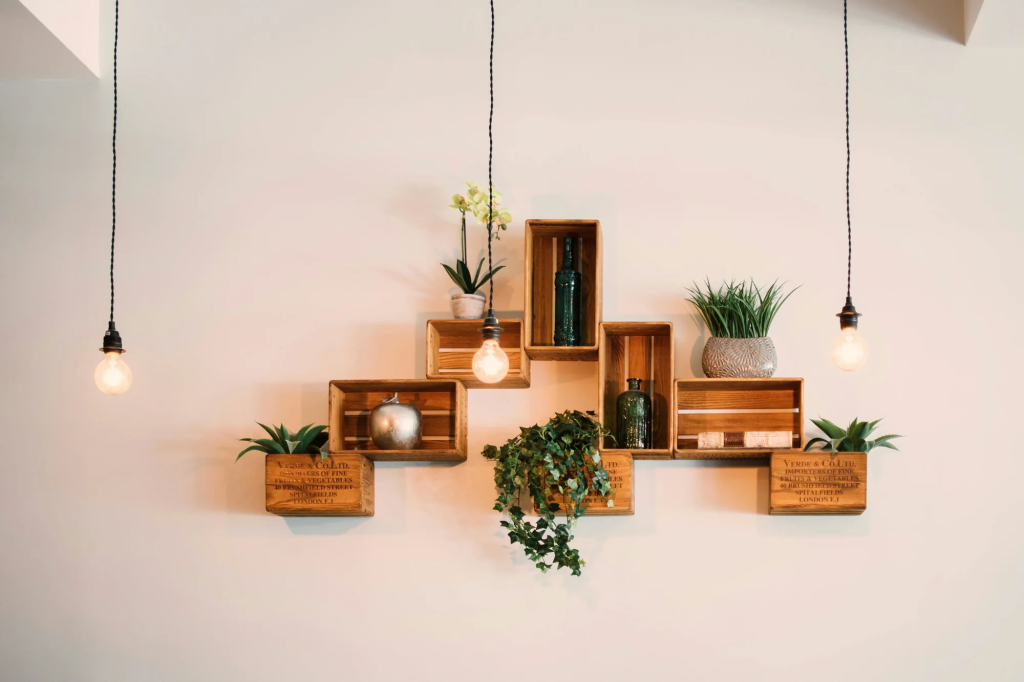 wooden wall shelves decorated with indoor plants and hanging pendant lights