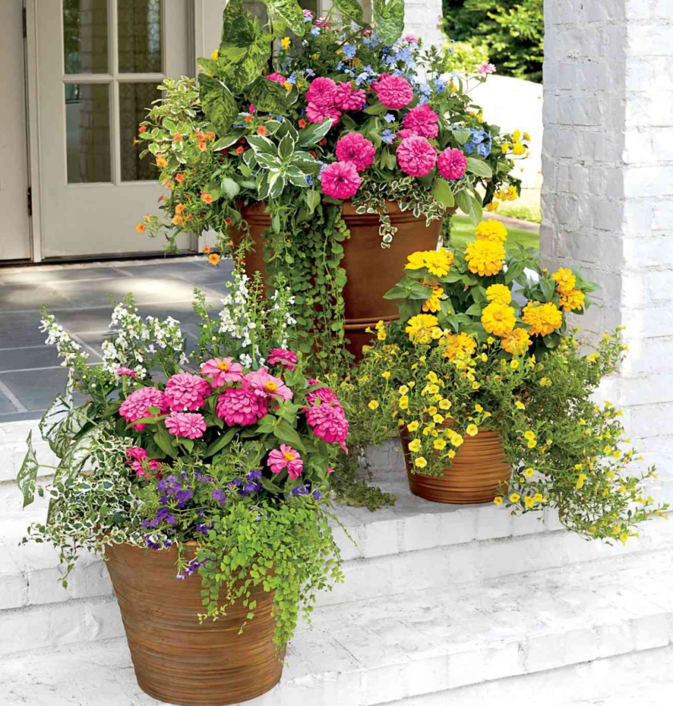 front porch container flower arrangement with colorful blooming plants