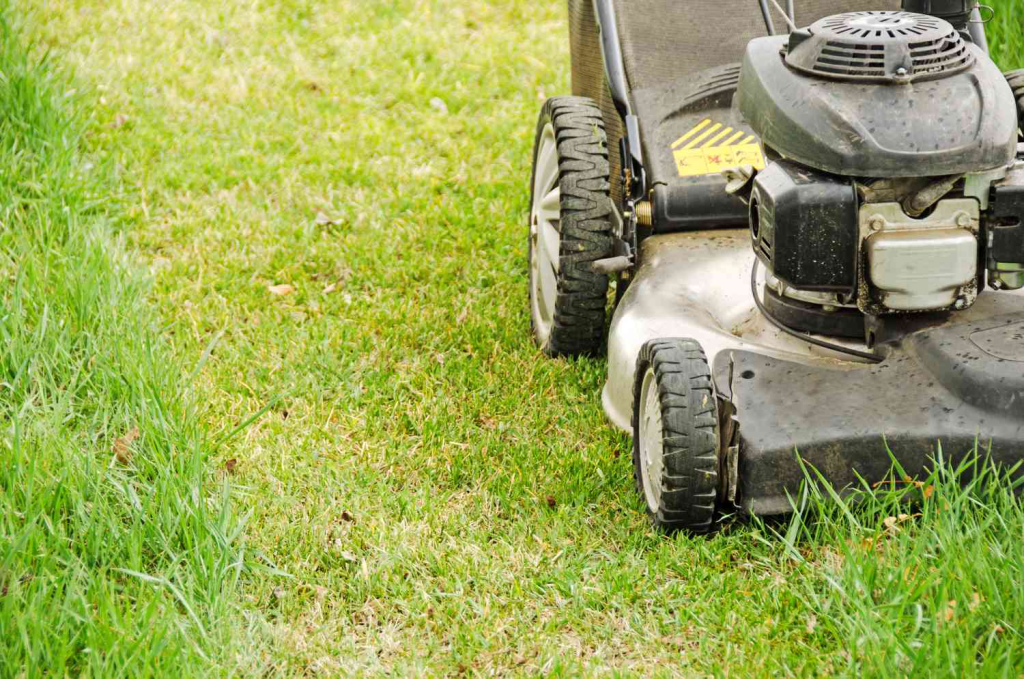lawn mower cutting healthy residential grass during routine lawn maintenance