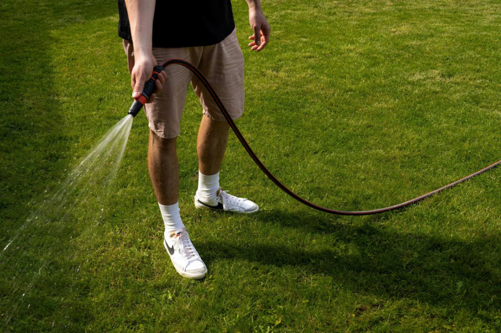 watering lawn with garden hose to promote healthy grass growth during dry weather