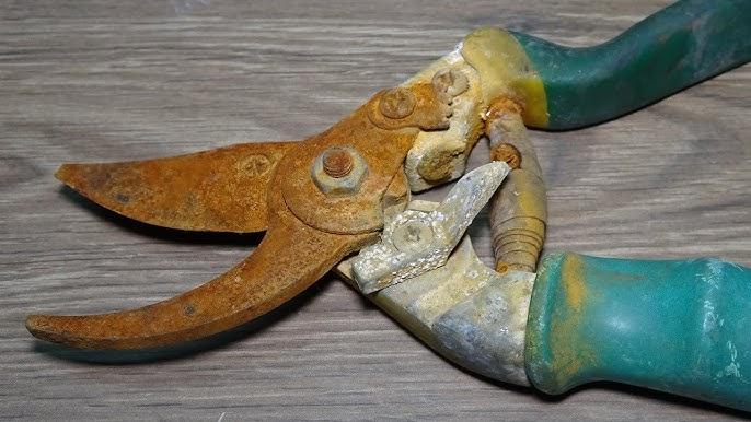 rusty garden pruning shears showing signs of wear and corrosion