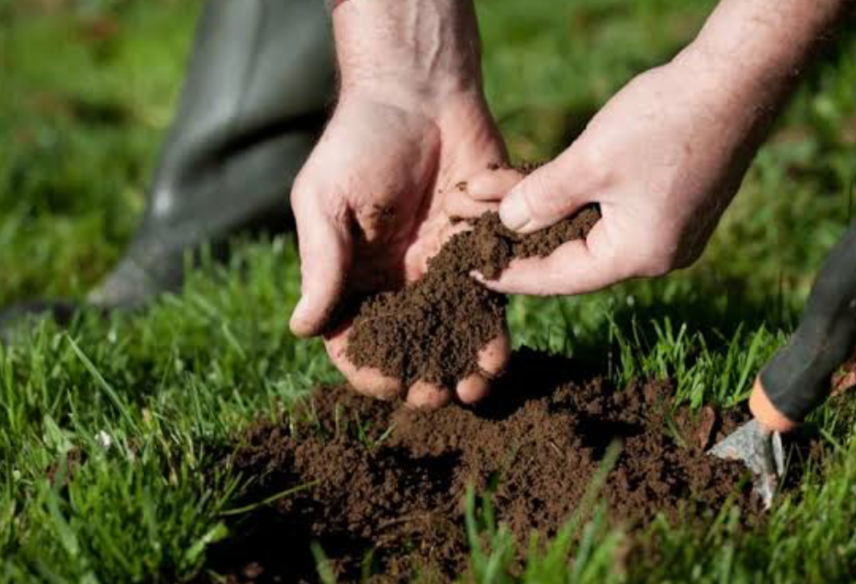 hands holding lawn soil sample for soil testing and grass health improvement