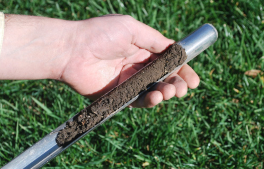 soil core sample collected from lawn for pH testing and turf management analysis