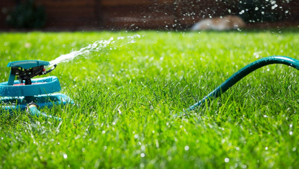 automatic lawn sprinkler watering healthy green grass during summer lawn maintenance