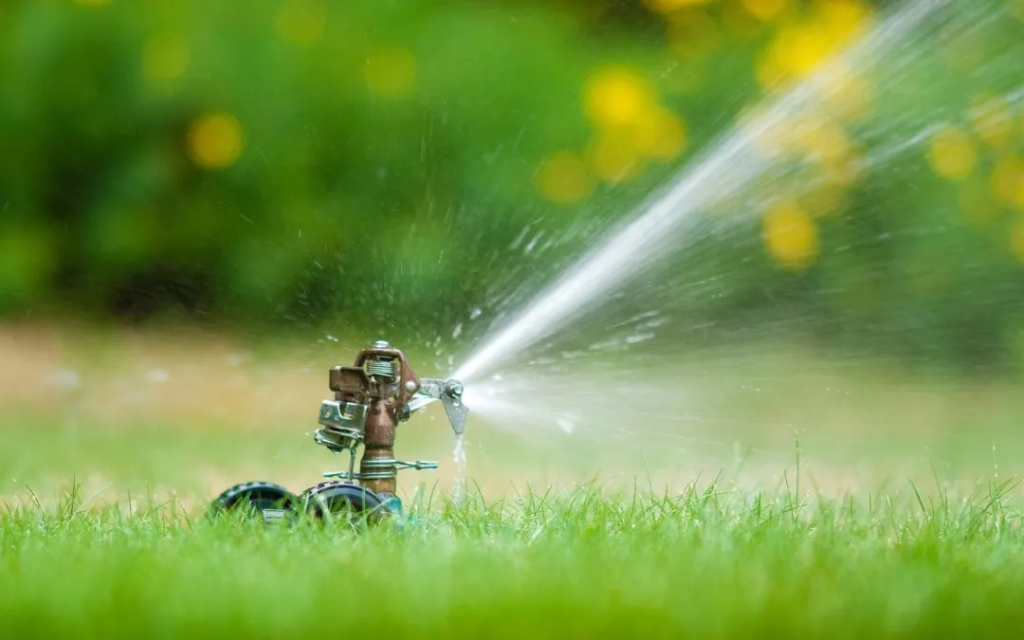 automatic sprinkler watering lawn grass to maintain healthy turf and soil moisture