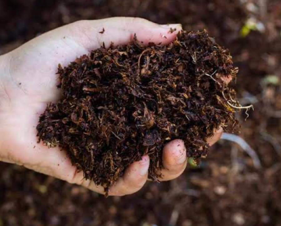 A gardener scoops Organic Fertilizer with their hand