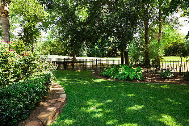 Beautiful shaded garden with trees