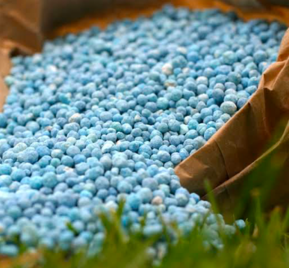 Grains of synthetic fertilizer