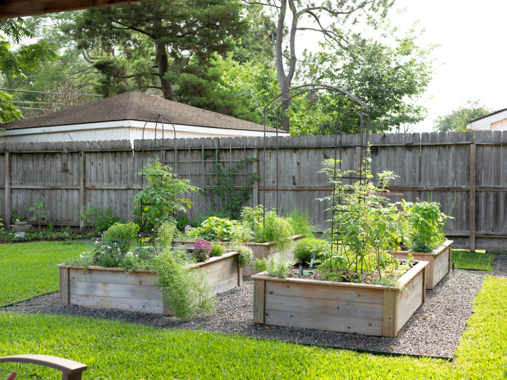 A plot of four raised beds in a backyard.