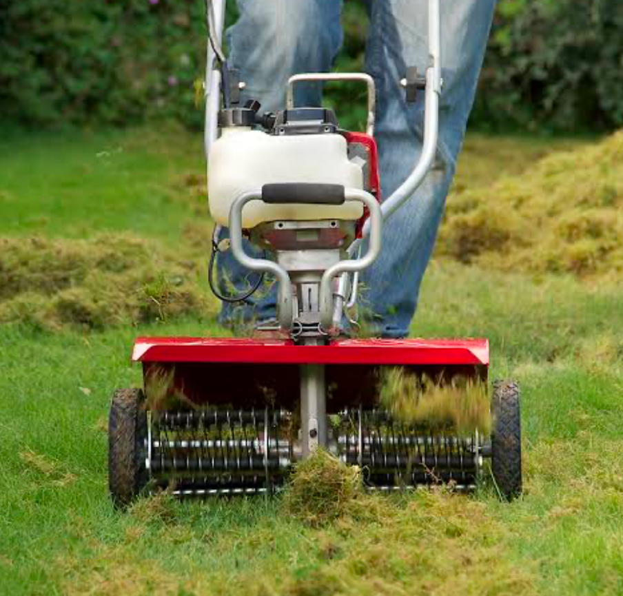 A gardener moves a dethatched over a lawn