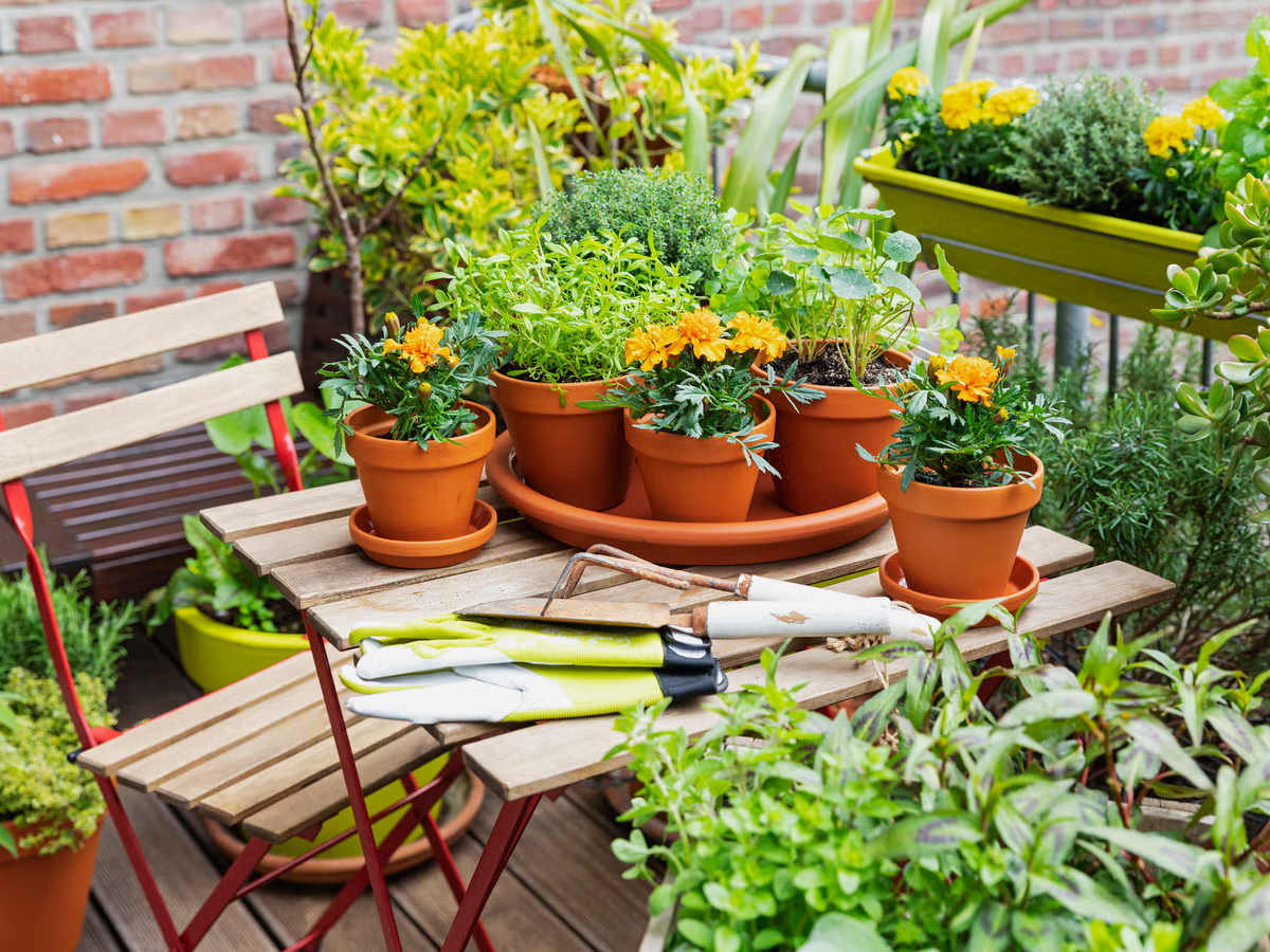 A balcony filled with potted plants.