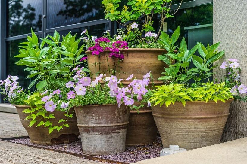 Four pots of various sizes holding different blooming flowers at the edge on the outside of a sliding glass living room door.