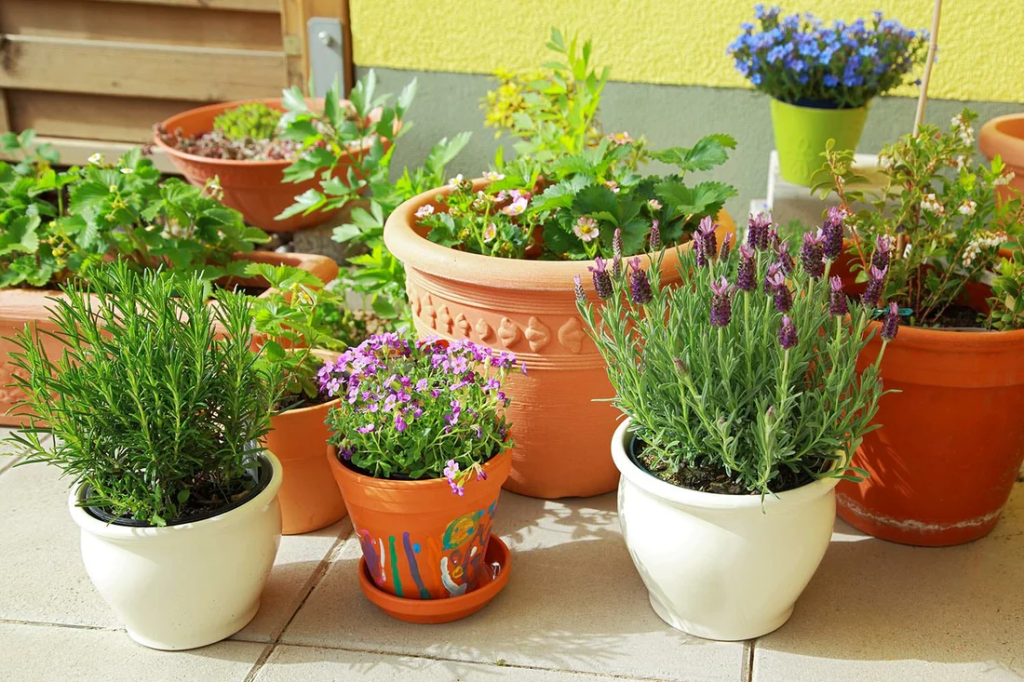 Different sized terracotta pots resting on a tiled floor.