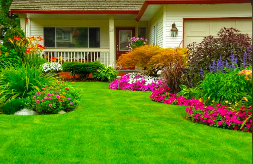 A healthy and vibrant lawn grows colorfully outside a beautiful bungalow